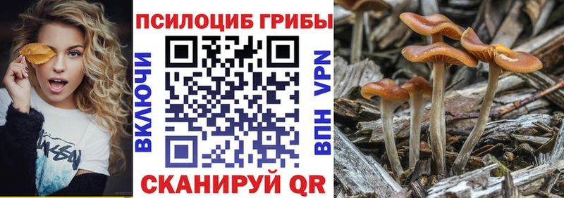 Псилоцибиновые грибы Cubensis  Зарайск 